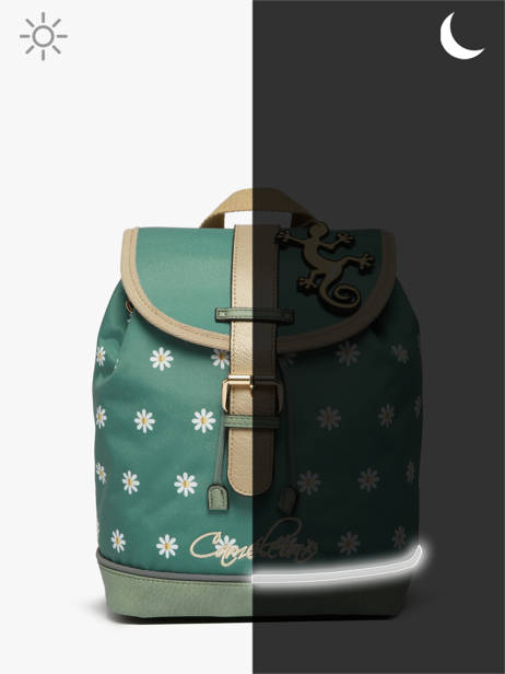 Sac Ã  Dos 1 Compartiment Cameleon Vert vintage fantasy SD25 vue secondaire 6