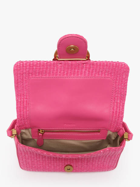 Sac BandouliÃ¨re Love Bag Icon Pinko Rose love bag icon 4340A2CF vue secondaire 2