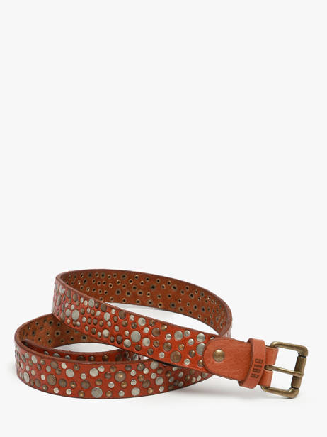 Belt Biba Brown accessoires LOS1A other view 3